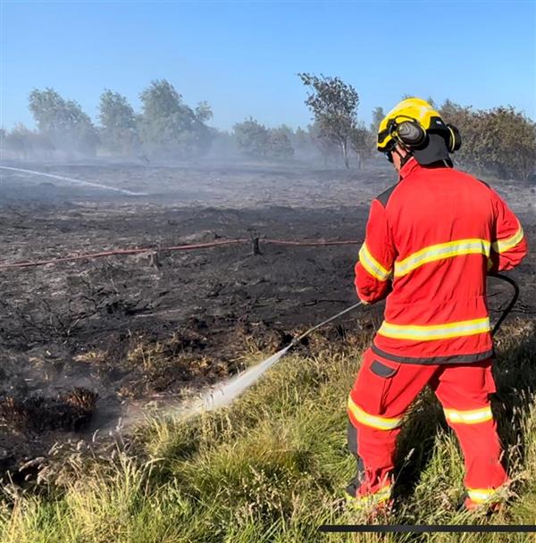 Firefighter extinguishing a wildfire
