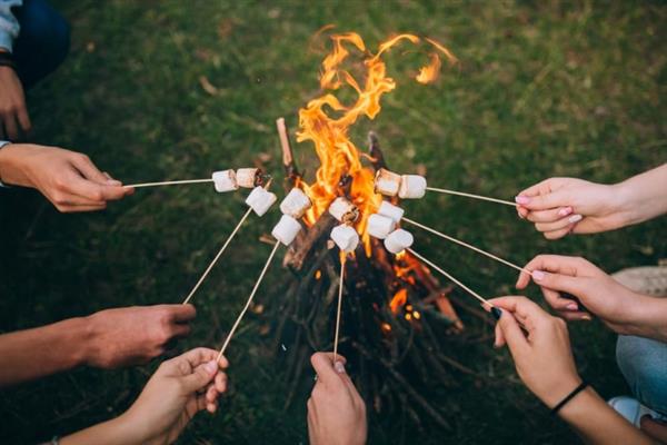 Seven people holding marshmallows on sticks over a small outdoor bonfirem with only their hands visible.