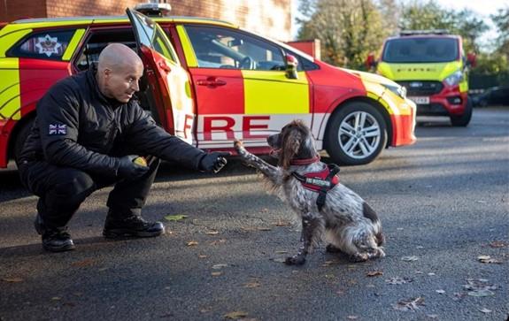 A firefighter crouches down to shake hands with a search and rescue dog in front of emergency vehicles.
