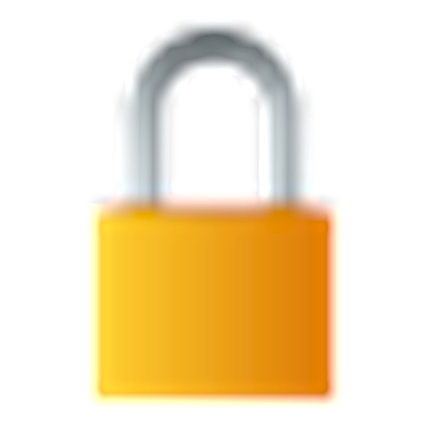 🔒