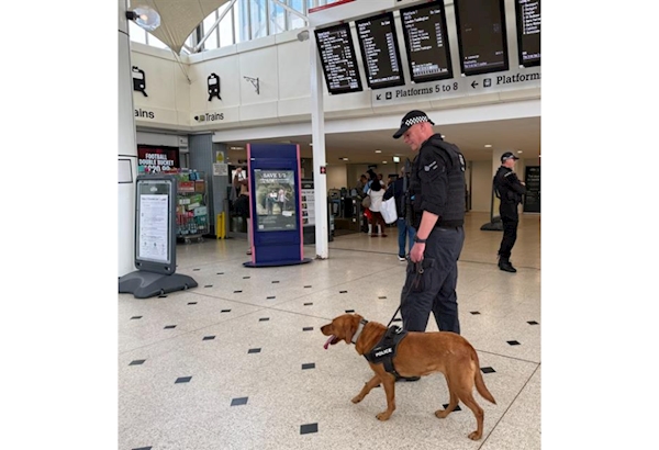 Operation Scorpion in action at Plymouth Railway Station