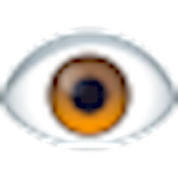 👁️