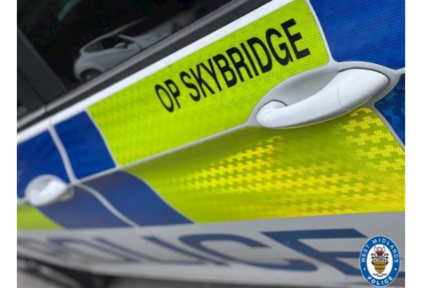 Operation Skybridge