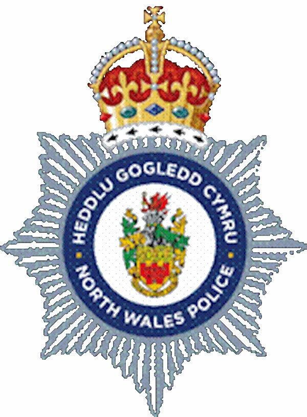 A close-up of a badge

Description automatically generated