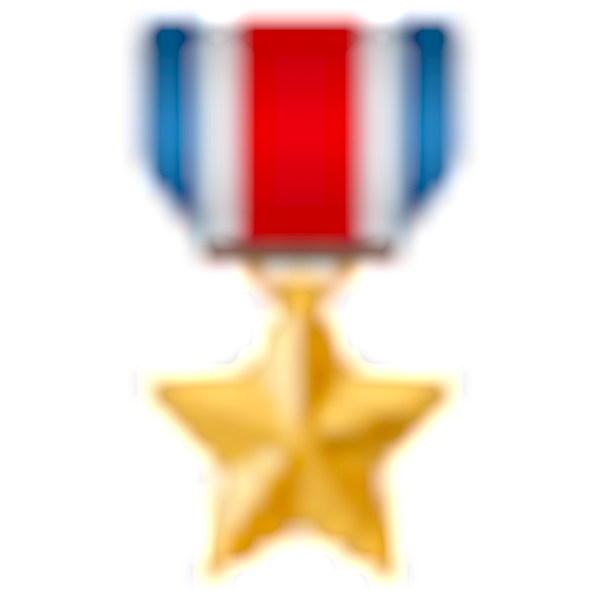 🎖️