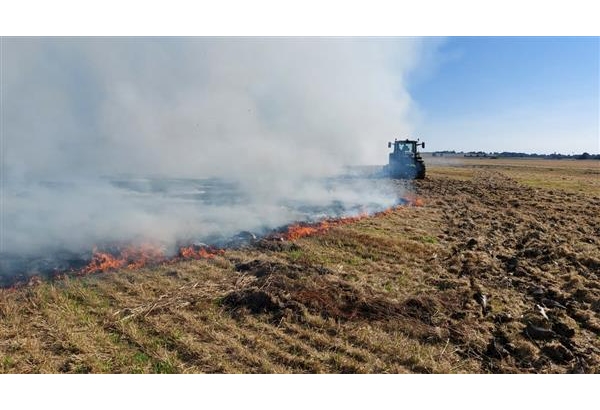 Field Fire
