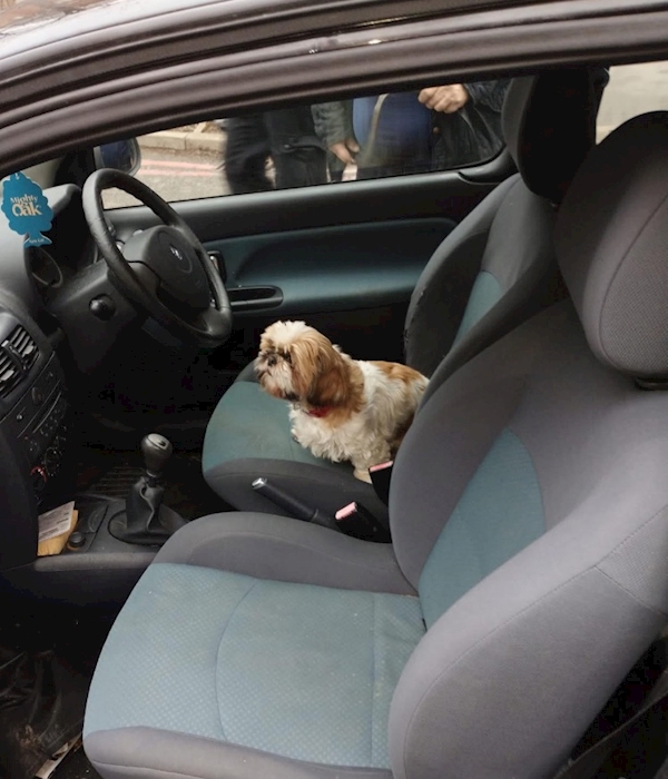 Screenshot 2026-01-30 at 16.31.11.jpeg