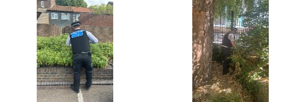 Weapon sweep around Pownall Rd and Haggerston Park.