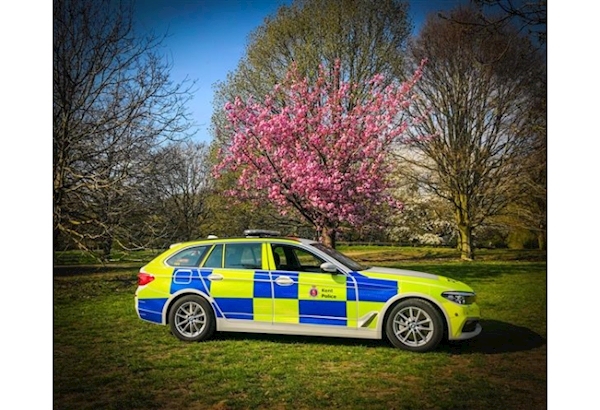 A police car parked in a grassy area

AI-generated content may be incorrect.