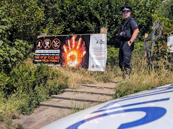 A police officer standing on stairs

AI-generated content may be incorrect.