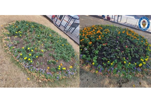 The flower beds, before and after
