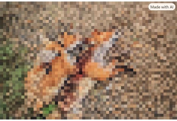 Pixelated imagery of dead foxes