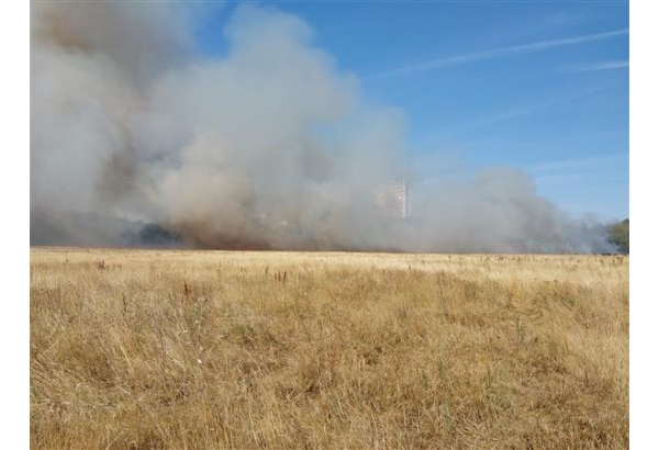 Fire on dry grassland near to residential area