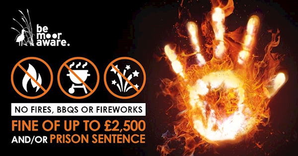 A hand with fire and text
AI-generated content may be incorrect.