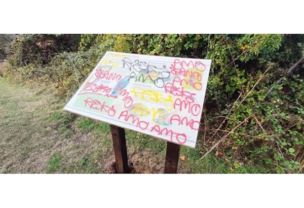 Grafitti tag (various) on a public information board in the community