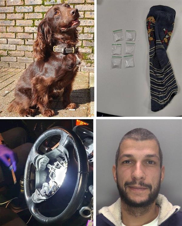 A collage of a dog and a person

AI-generated content may be incorrect.