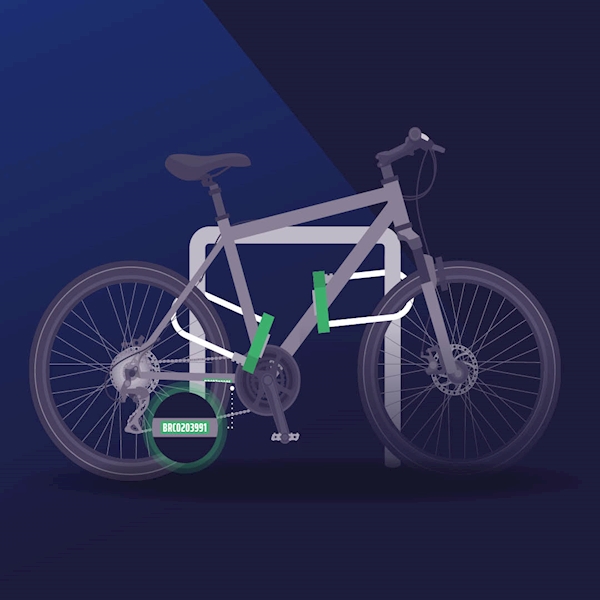 bike-with-two-d-locks.jpg