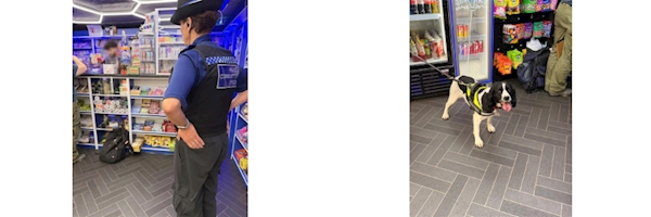 PCSO and trading standards sniffer dog attending a store in Ludlow