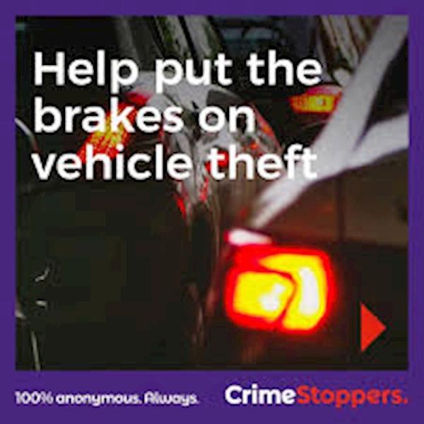 vehicle theft ...
