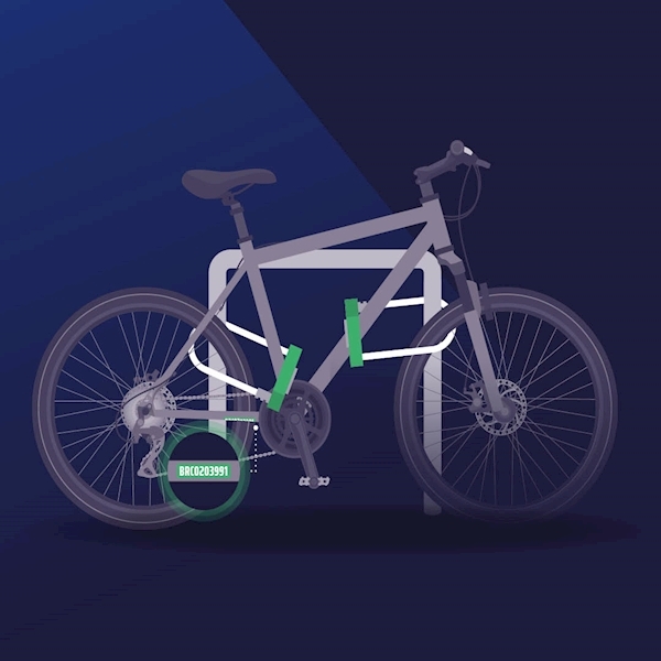 bike-with-two-d-locks.jpg