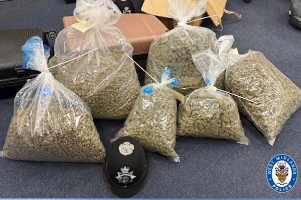 Cannabis seized as part of the operation