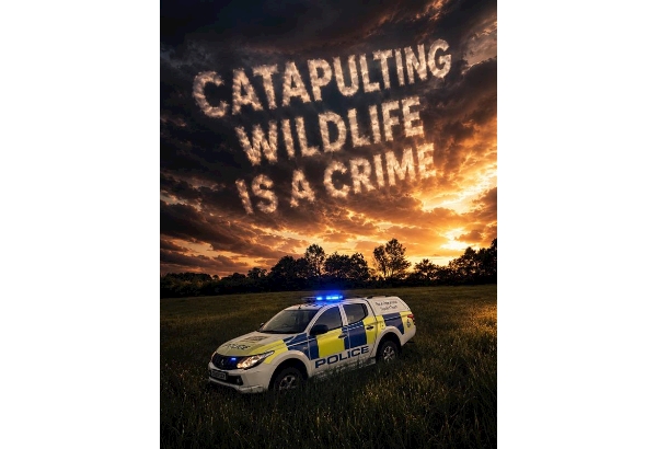 Image of a rural police 4x4 with the caption above "Catapulting Wildlife is a Crime" 