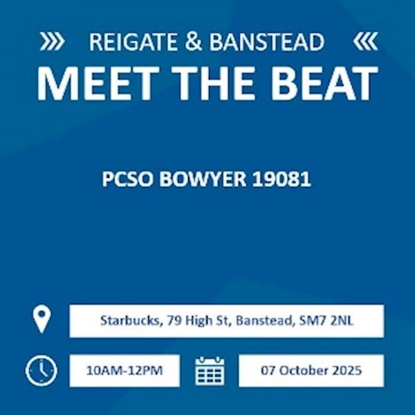 harry meet the beat