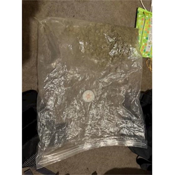 A plastic bag with a white circle on it

AI-generated content may be incorrect.