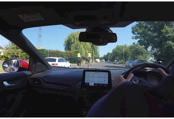 Driver approaching horses