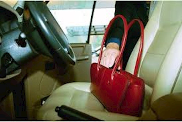 Image result for vehicle crime prevention