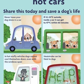 Message icon 266180