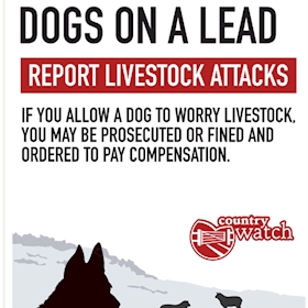 Message icon 269661