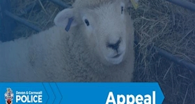 Message type icon
