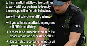 Message type icon