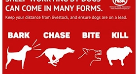 Message type icon
